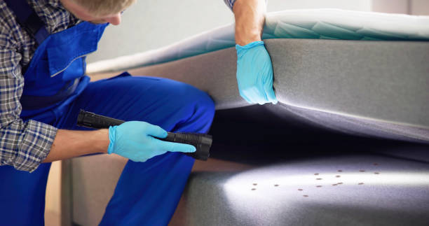 Best Pest Control Near Me  in Rockwell City, IA
