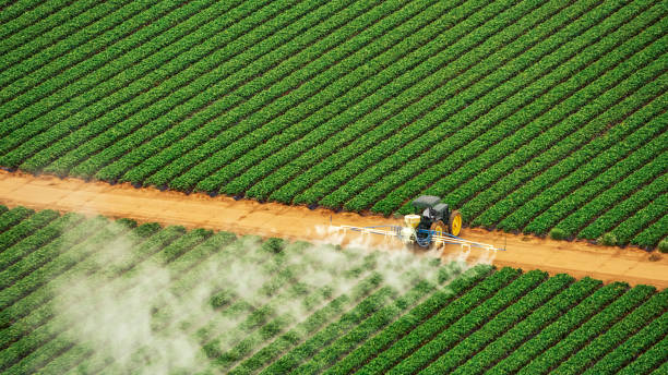 Pest Control Cost in Rockwell City, IA