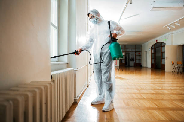 Best Pest Prevention Services  in Rockwell City, IA